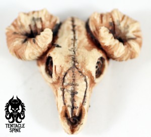 Bone Ra Skull