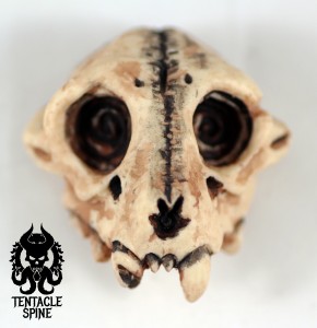Bone Snaggle Tooth Chimera Skull